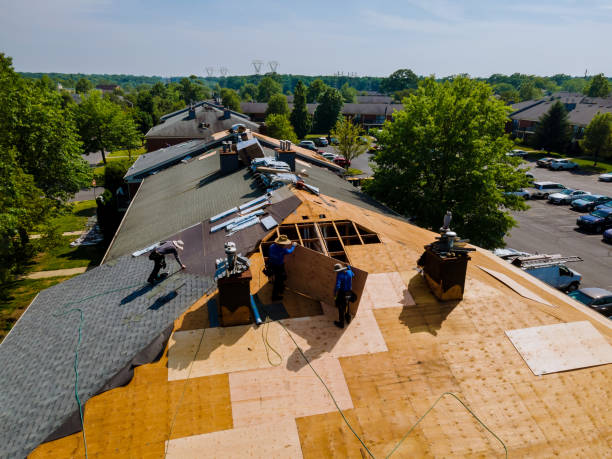 Quick and Trustworthy Emergency Roof Repair Services in Shavertown, PA